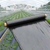 LDPE Черная мульчирующая пленка Сельскохозяйственная почвенная мульчирующая пленка Пластиковая крышка Китайская пластиковая мульча Ondustries