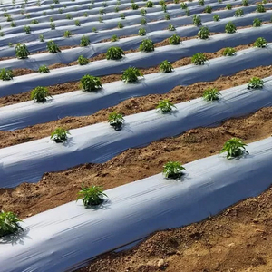 LDPE Черная мульчирующая пленка Сельскохозяйственная почвенная мульчирующая пленка Пластиковая крышка Китайская пластиковая мульча Ondustries