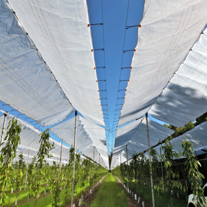 Покрытие плодовых деревьев PE